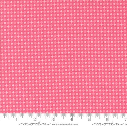 HOT PINK Fab Boo Lous Gingham by Moda