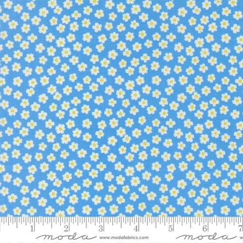 *Preorder* BLUE MY MIND Petal Power, True to Hue by Alli K for Moda Fabrics