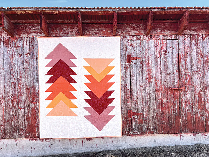 Cozy Quilts for the Modern Home 16 Projects Book by Abby Luchsinger