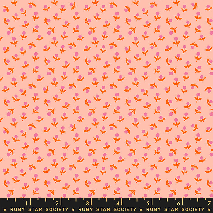 PEACH Star Sprout from Meadow Star by Alexia Marcelle Abegg for Ruby Star Society