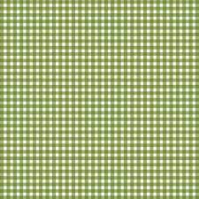 Spring Green Basic Check by Maywood Studio Collection