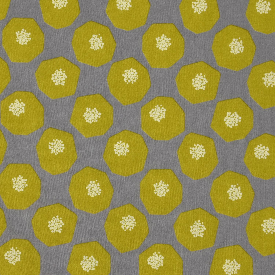 CITRON Mellow Echino Lawn from KOKKA