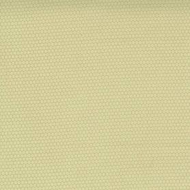 GREEN Buttercup Slate, Coriander Seeds by Corey Yonder