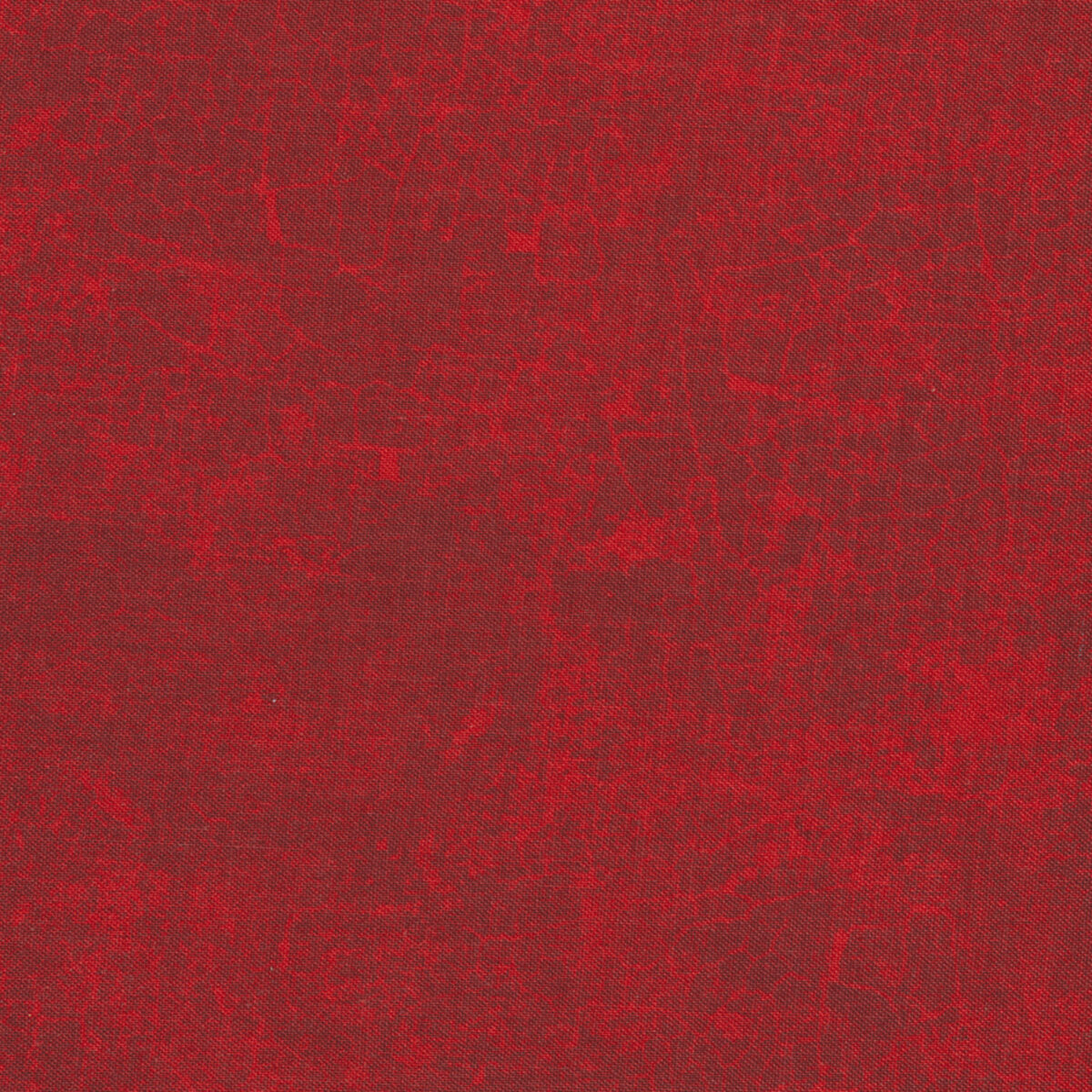 RUBY Essentials Crackle by Danhui Nai for Wilmington Prints