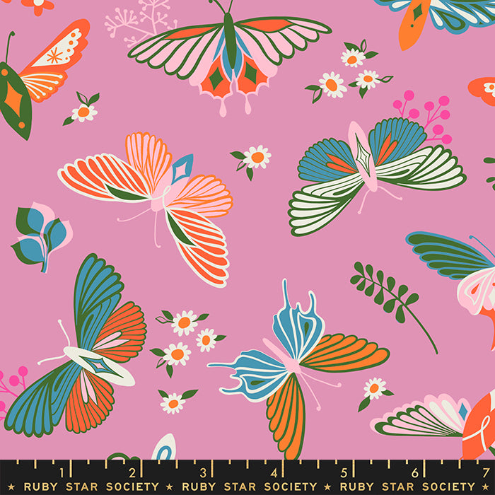 KISS Flutter Butterflies from Stay Gold, Melody Miller