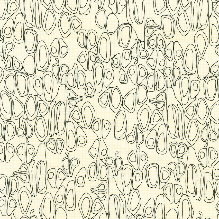 EGGSHELL Kept by Carolyn Friedlander, Robert Kaufman