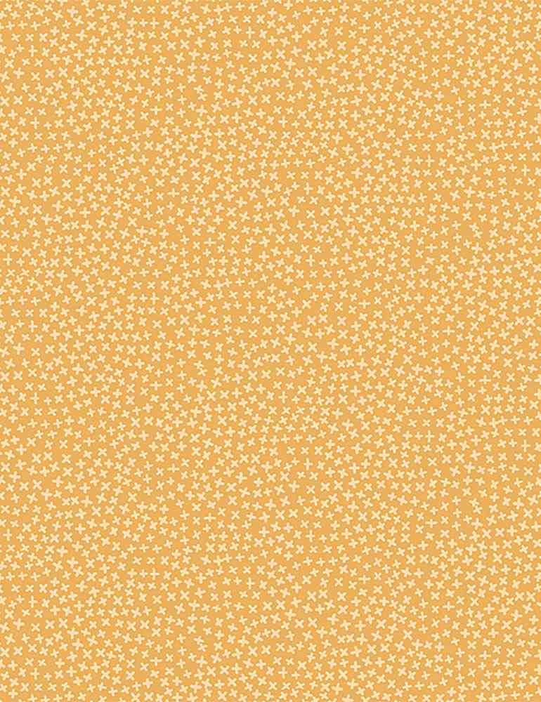 BEESWAX Stars, Jax from Dear Stella