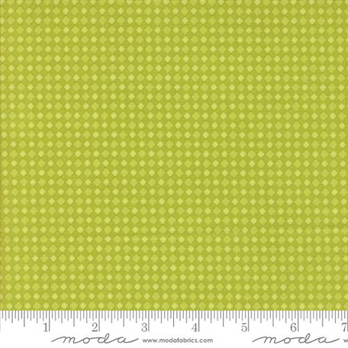 GREEN SLIME Fab Boo Lous Gingham by Moda