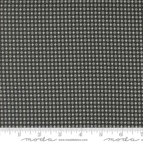 NIGHT Fab Boo Lous Gingham by Moda