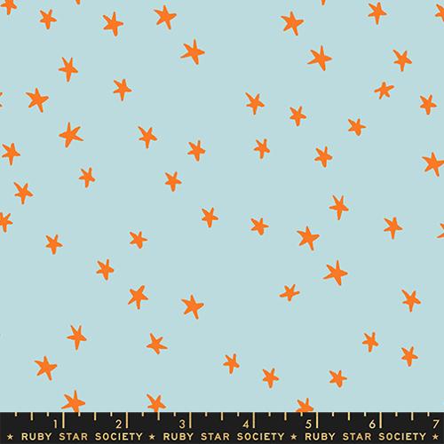 POLAR, Starry 2025 by Alexia Marcelle Abegg for Ruby Star Society