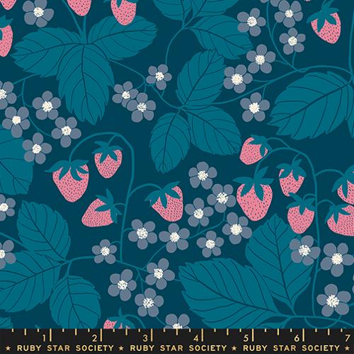 *Preorder* GALAXY Strawberry Field from Reimagined Landscapes by Jen Hewett for Ruby Star Society