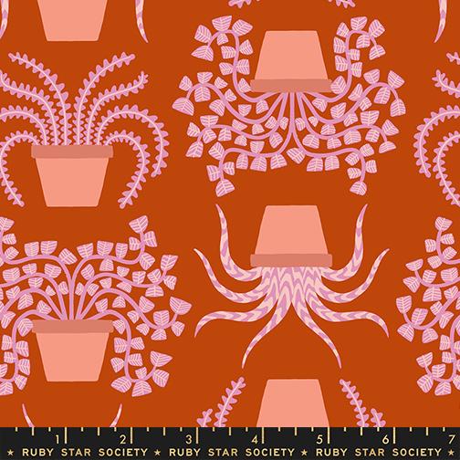 *Preorder* CAYENNE Planties from Calathea by Ruby Star Society