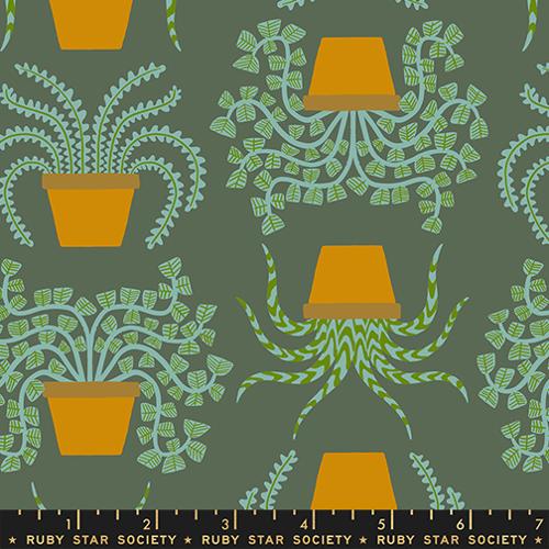 *Preorder* SEAWEED Planties, Calathea by Ruby Star Society