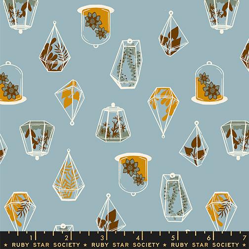 *Preorder* SOFT BLUE Terrarium, Calathea by Ruby Star Society
