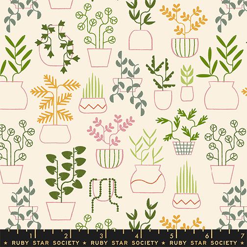 *Preorder* NATURAL Plant Life, Calathea by Ruby Star Society