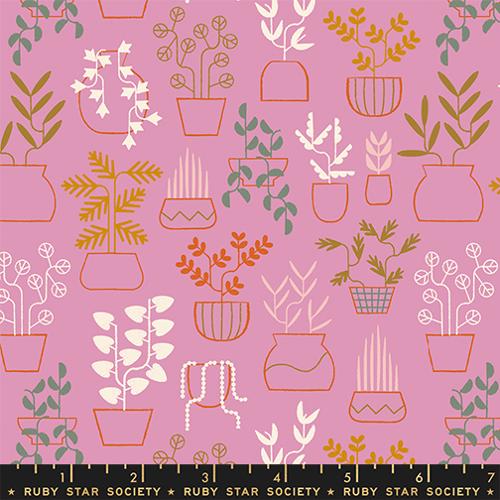 *Preorder* KISS Plant Life, Calathea by Ruby Star Society
