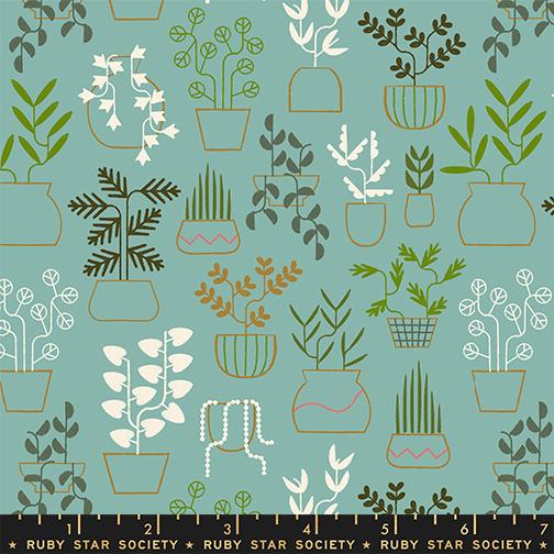 *Preorder* WATER Plant Life, Calathea by Ruby Star Society