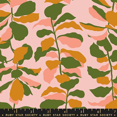 *Preorder* SWEET PINK Fiddle Leaf, Calathea by Ruby Star Society