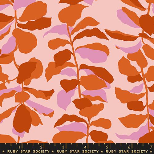 *Preorder* CAYENNE Fiddle Leaf, Calathea by Ruby Star Society
