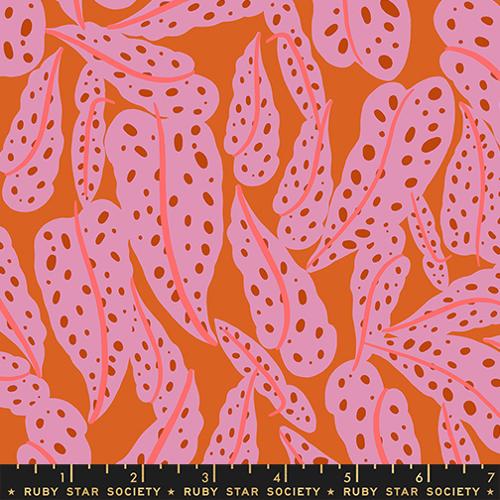 *Preorder* PECAN Overlapping Leaves, Calathea by Ruby Star Society