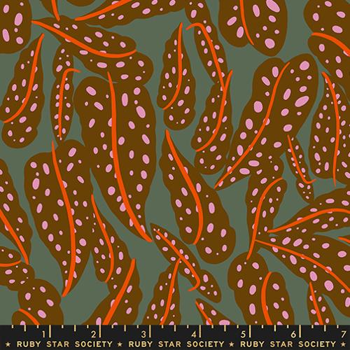 *Preorder* COCOA Overlapping Leaves, Calathea by Ruby Star Society