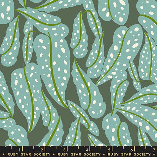 *Preorder* SEAWEED Overlapping Leaves, Calathea by Ruby Star Society