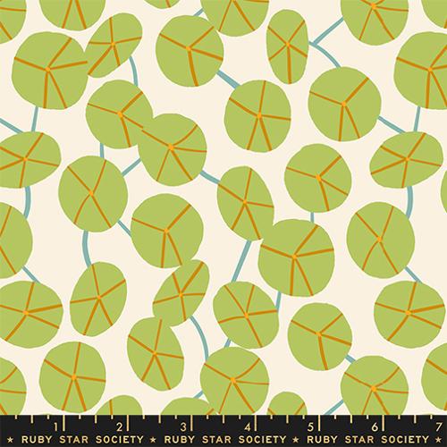 *Preorder* NATURAL Pilea, Calathea by Ruby Star Society