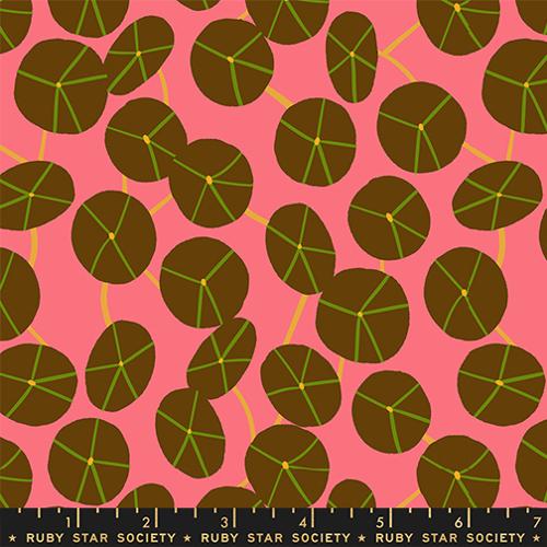 *Preorder* STRAWBERRY Pilea, Calathea by Ruby Star Society
