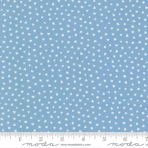 *Preorder* SKY Tiny Hearts, Funny Valentine by Lizzy House for Moda Fabrics