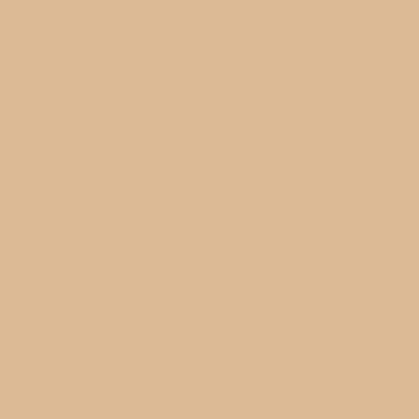 CAMEL Colorplay Canvas, 100% Organic Cotton by Ink & Arrow for QT Fabrics
