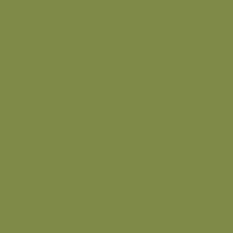 OLIVE Colorplay Canvas, 100% Organic Cotton by Ink & Arrow for QT Fabrics
