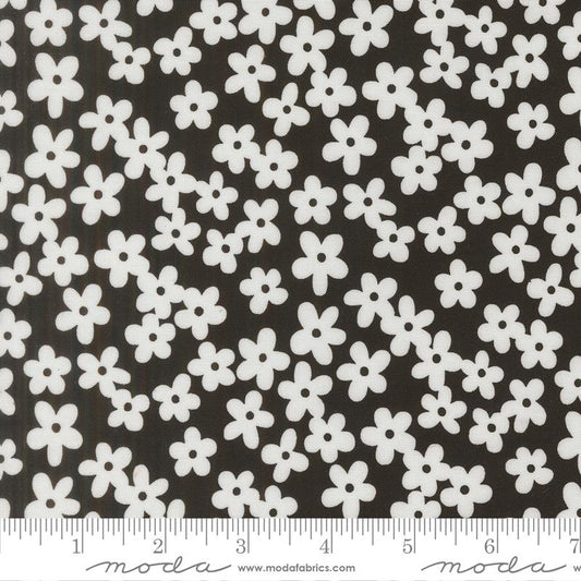 *Preorder* BLACK AS NIGHT Petal Accent, True to Hue by Alli K for Moda Fabrics