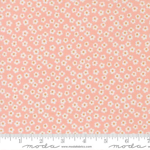 *Preorder* BLUSH Petal Power, True to Hue by Alli K for Moda Fabrics