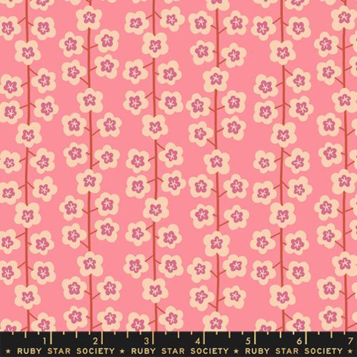 *Preorder* SORBET Baby's Breath, Corsage by Jen Hewett for Ruby Star Society