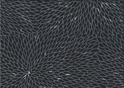 BLACK, Bush Medicine Leaves Designed by Bernadine Johnson, M&S Textiles Australia