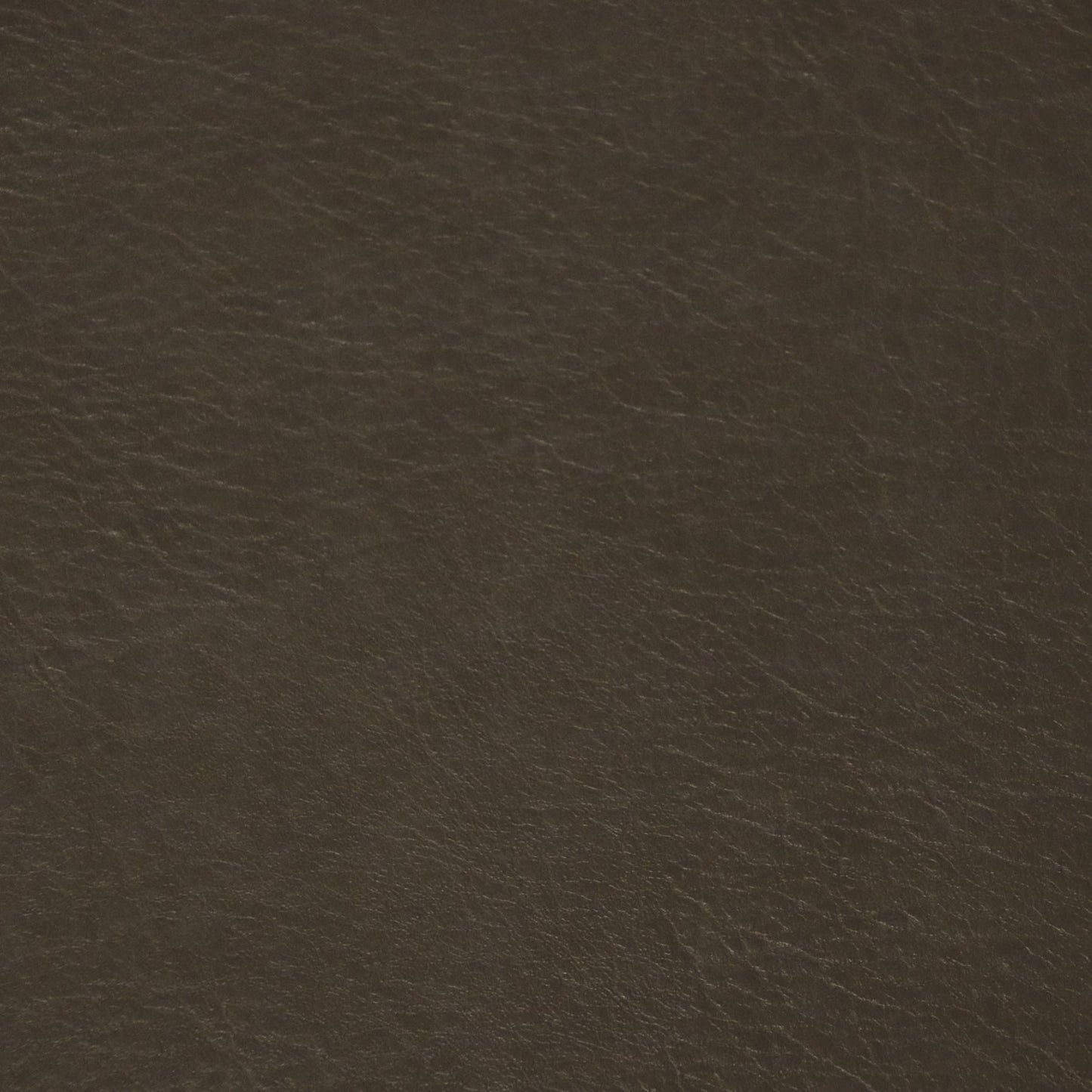 12inch Faux Leather from Sallie Tomato