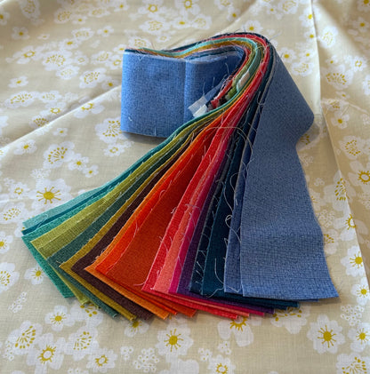 Texas Jelly Roll 19 strips - Companion to Texas States and Stripes Quilt