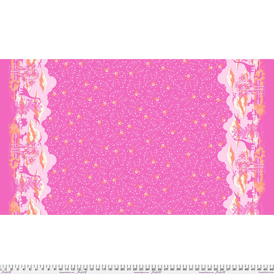 BLUSH Meteor Showers from Roar by Tula Pink - Border Print