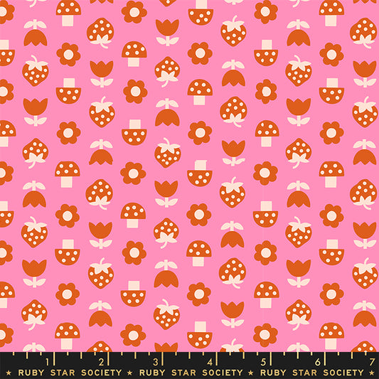 FLAMINGO Strawbitties from Picture Book by Kimberly Kight for Ruby Star Society