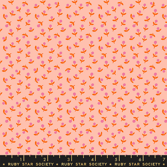 PEACH Star Sprout from Meadow Star by Alexia Marcelle Abegg for Ruby Star Society