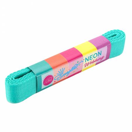 1" Solid Nylon Webbing from Tula Pink (2 yards)