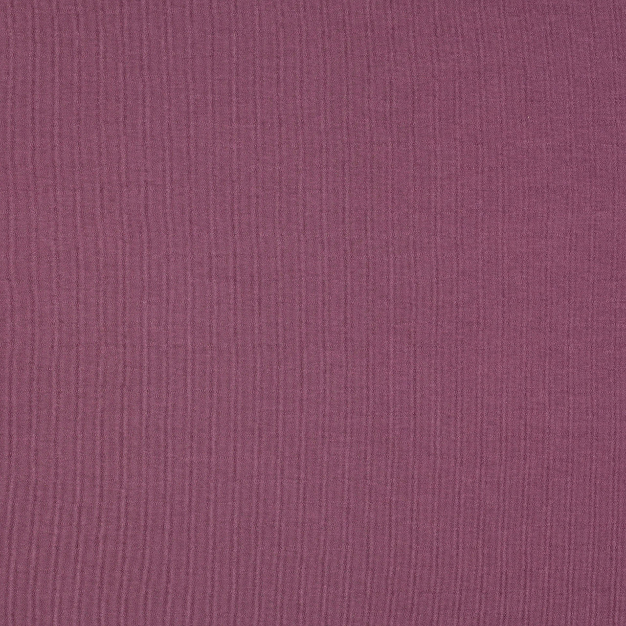 EGGPLANT Organic Interlock Jersey Knit by Verhees Textiles 58" Wide