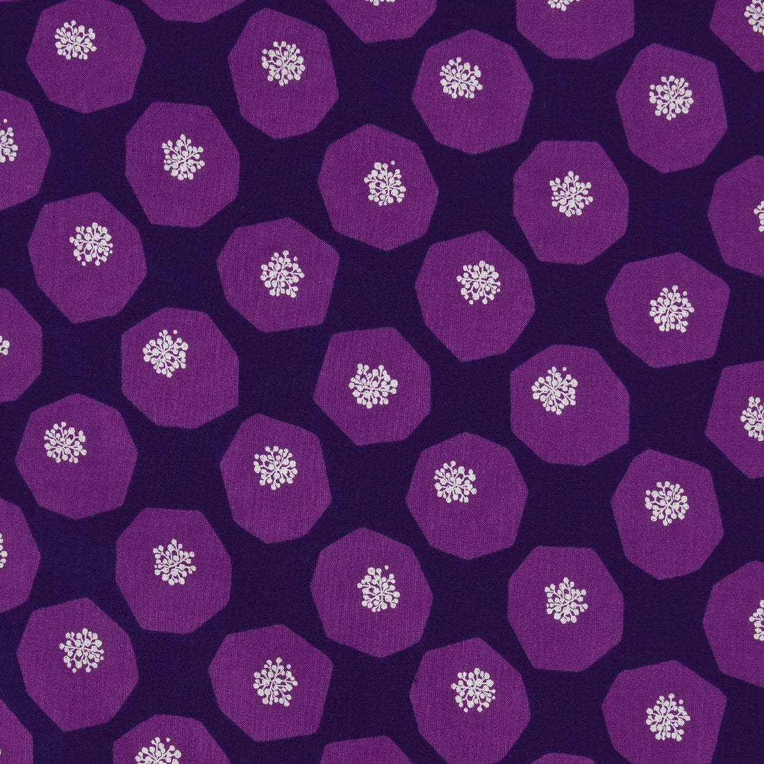 PURPLE Mellow Echino Lawn from KOKKA
