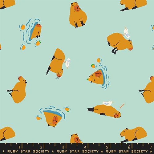 MINTY, Capybara From Animal Animal, A Collaborative Collection for Ruby Star Society