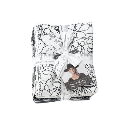 Fat Quarter Bundle of Illustrations by Alli K Design, Moda