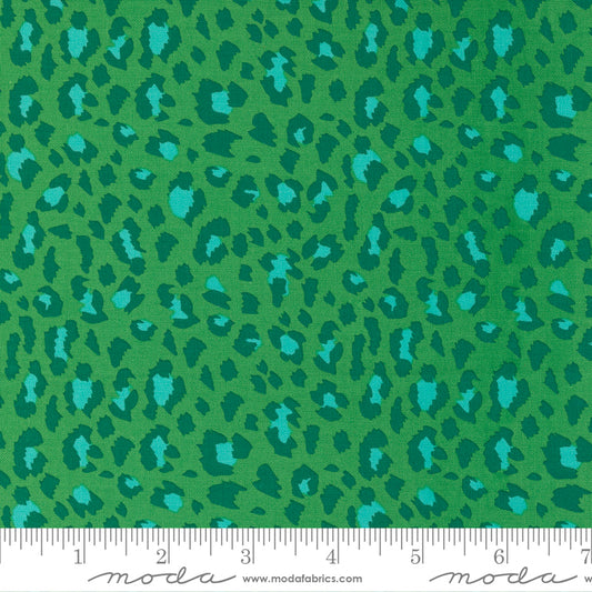 PARROT Leopard, Jungle Paradise by Stacy lest Hsu Moda