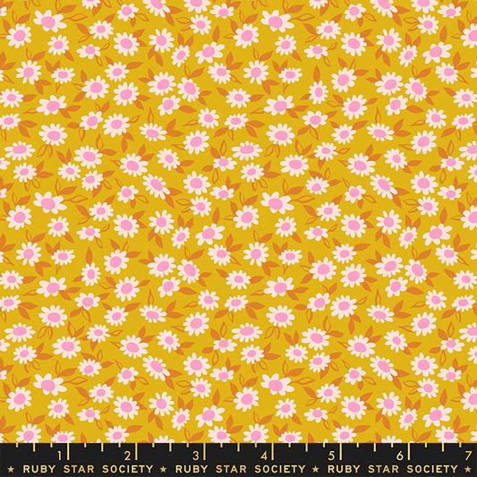 GOLDENROD Morning Blend Flowers from Stay Gold, Melody Miller