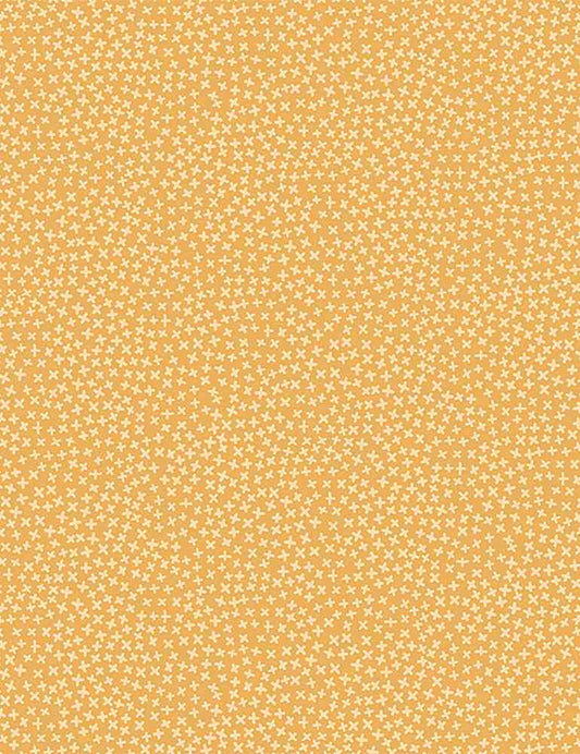 BEESWAX Stars, Jax from Dear Stella