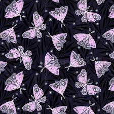 INDIGO Moths, Lantern Light from Dear Stella